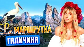 Ле Маршрутка. Галичина