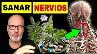 SUPLEMENTOS que SANAN la NEUROPATÍA (DAÑO  NERVIOSO) CÓMO USARLOS