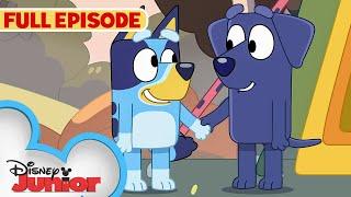 Bluey Camping Full Episode | Bluey Meets Jean-Luc | S1 E43 | @disneyjr  x @BlueyOfficialChannel