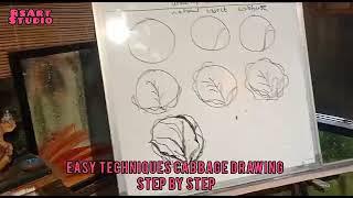 Easy techniques cabbage drawing Step by steps|@RsArt Academy