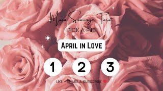 April in Love- Pick a Pile Tarot Reading  #moonsauvagetarot