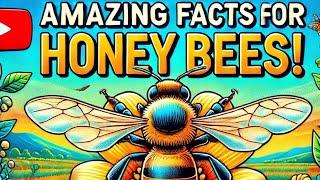 Most informative video of Honey Bee #information #nature #fun #viralvideo