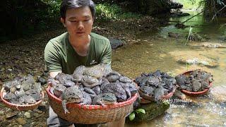 Catch frogs to cook and sell. Robert | Green forest life