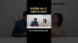 전셋집 문을 따 보니 사람은 없고 뱀들만 우글우글
