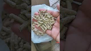 Best Pellets For Rabbit And Guinea Pig | #Shorts #rabbitpellet #bestpellet #Pellet  #rabbit #Bunny