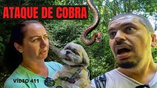 FOMOS ATACADOS POR UMA COBRA JARARACA EM UMA CACHOEIRA - VÍDEO 411