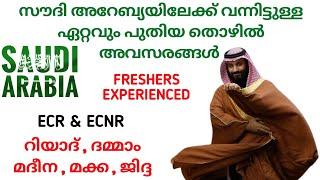 JOB VACANCY IN SAUDI ARABIA 2024| GULF JOBS MALAYALAM| JOBS IN SAUDI ARABIA|SAUDI JOBS MALAYALAM