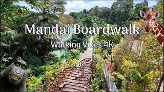 Mandai Broadwalk - Singapore | Walking Vibes 4K