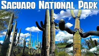 Saguaro National Park - West Tucson Mountain District | Travel Guide