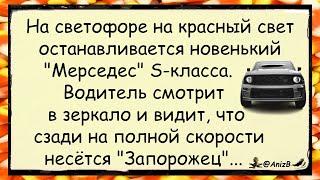  Мерс и Запор. Как всегда... анекдоты юмор смех