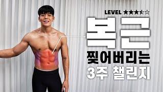 Lv.3.5 복근을 가지고 싶다면 이 영상을 반복하세요.