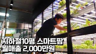 지하철역 10평에서 2천만원 매출 올리는 스마트팜. 7년간 적자였다 매출 3배 성장한 비결은?