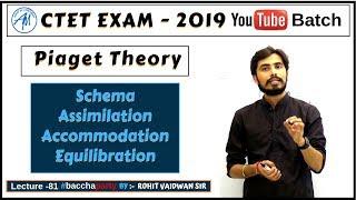 Piaget Theory Schema, Assimilation, Accommodation,Equilibration | CDP CTET 2019