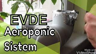 Evde aeroponic topraksız tarım sistemi: Soilless farming in the home