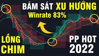 Phương Pháp LỒNG CHIM NHỎ Scalping Trend Mỗi Ngày ( LỆNH WIN CHUẨN XU HƯỚNG )