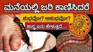 ಮನೆಯಲ್ಲಿ "ಜರಿ" ಕಾಣಿಸಿದರೆ ಏನಾಗುತ್ತದೆ..?|If "centipede" appears in the house..?