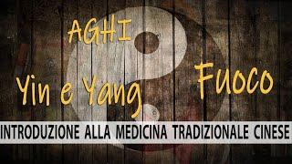 Introduzione alla Medicina Tradizionale Cinese - Aghi Fuoco Yin e Yang.