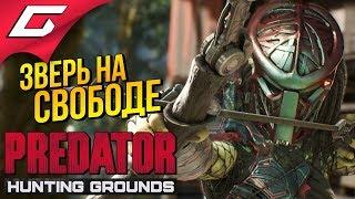 PREDATOR: Hunting Grounds  ДИКИЙ сливной ХИЩНИК