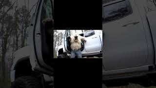 Yeti Vlog! Messy Divorce for Yeti! Child Support Payments! Duramax gonna get repossessed
