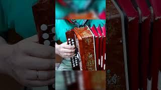 Деревенька моя! 3 аккорда и 300 песен или как быстро научиться играть на гармони урок от мастера