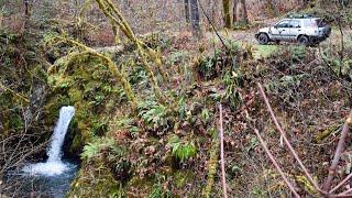 CRV Off-Roading: Chasing Waterfalls up Fall Creek