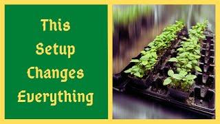 Stop Struggling w/ Seed Starting! - This Setup Makes It EASY