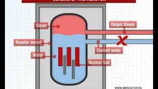 Fukushima I Nuclear Power Plant
