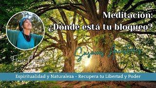 Susurros Ancestrales . Meditación: ¿Dónde están tus bloqueos?