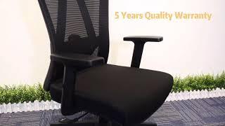 2D lumbar support modern office chair from Noel furniture (China) Direct-factory selling