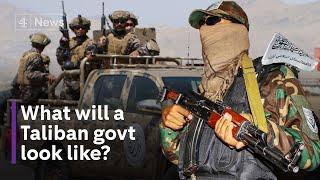 Afghanistan: What will a new Taliban government look like?