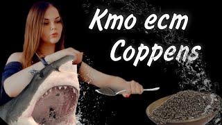 Какой рыбке в моих аквариумах подходит Коппенс ( Coppens)