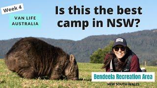 Is this the best camp in NSW? - Bendeela Recreation Area