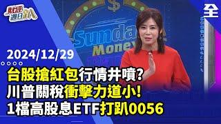 台股搶紅包行情井噴？廣達小金雞AI自駕車晶片電力十足？！台積電DUV光阻劑供應商成千金股？3D鏡片股底部發動？！川普關稅衝擊小？！美債、高股息怎麼存？？ 2024.12.29【財經週日趴 全集】