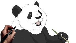 How To Draw A Panda | Step By Step |