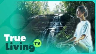 Mindful Mastery Unveiled | True Living TV