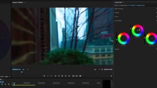 The Lumetri Color Panel and Color Correcting in Premiere Pro CC 2015