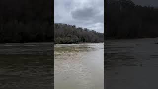 COCHRAN SHOALS Best Dog  Friendly Hiking  Trails in Atlanta  #hiking #atlanta #dog