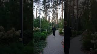 Если хотите создавать такие сады, приходите учиться в школу ландшафтного дизайна ВИД #сад #ландшафт