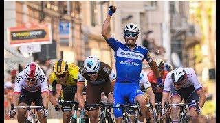 Julian Alaphilippe _ K.I.N.G