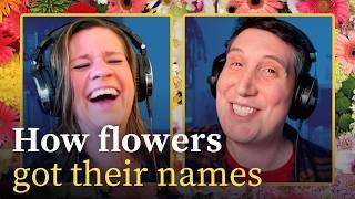 Which flower makes you wet the bed? | FLOWER NAME ORIGINS