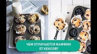 Чем отличается маффин от кекса?