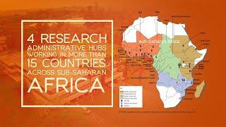 The International Institute of Tropical Agriculture (IITA)