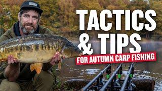 Carp Fishing Autumn Tactics with Simon Dew