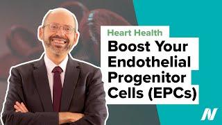 How to Boost Your Endothelial Progenitor Cells (EPCs) for Heart Health