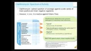 Clarithromycin Beyond Antimicrobial Effects - Mirna Waked