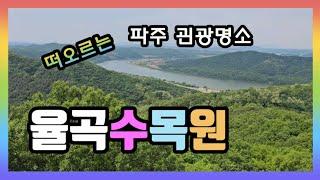 파주 핫 플레이스로 떠오르는 율곡수목원