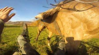 a fall from a horse with a helmet cam  (GoPro hero 4 black) HD