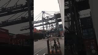 Utrade Logistics #canada #cargo #shipping  #viral