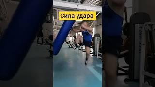 Training day KICK BOXING. Сила удара тренировка. #боевыеискусства #уличныйбокс #бокс #кикбокс