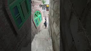￼ finally #music #newmusic #song #minivlog #bolleywoodsong #musicgenre #vlog #travel #kashmiriweddi